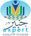 خبراء الاداء